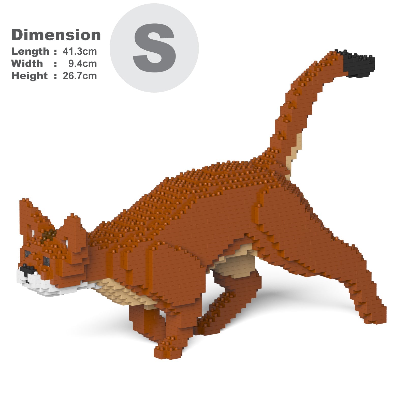 Abyssinian Cat 03S