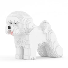 Bichon Frise 02