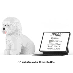 Real size of the Bichon Frise 03 next to a 13-inch tablet