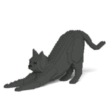 Cat 09S-M03