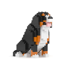 Bernese Mountain Dog Mini 01