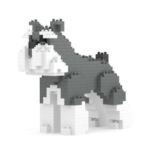 Miniature Schnauzer 01