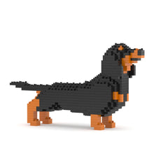 Miniature Dachshund 01