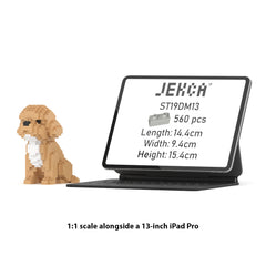Real size of the Mini Cockapoo 01 next to a 13-inch tablet