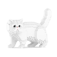 Exotic Shorthair Cat 01S-M03