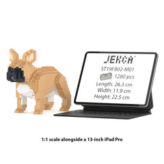 Real size of the French Bulldog 02-M01 next to a 13-inch tablet