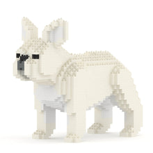 French Bulldog 02-M02