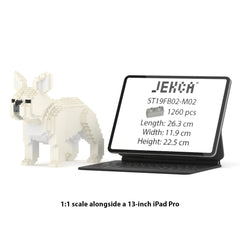 Real size of the French Bulldog 02-M02 next to a 13-inch tablet