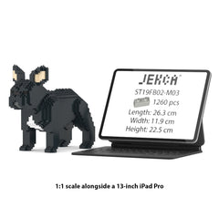 Real size of the French Bulldog 02-M03 next to a 13-inch tablet