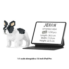 Real size of the French Bulldog 02-M04 next to a 13-inch tablet