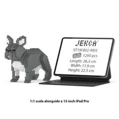 Real size of the French Bulldog 02-M05 next to a 13-inch tablet