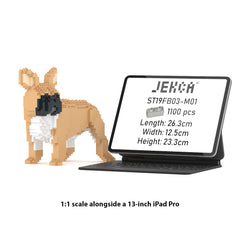 Real size of the French Bulldog 03-M01 next to a 13-inch tablet
