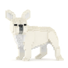 French Bulldog 03-M02