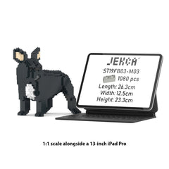 Real size of the French Bulldog 03-M03 next to a 13-inch tablet