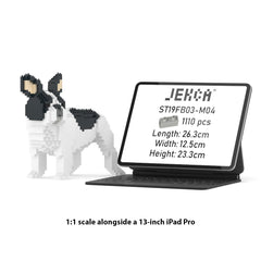 Real size of the French Bulldog 03-M04 next to a 13-inch tablet
