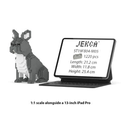 Real size of the French Bulldog 04-M05 next to a 13-inch tablet