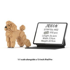 Real size of the Standard Poodle 01-M02 next to a 13-inch tablet