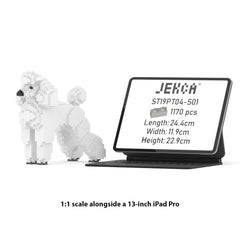 Real size of the Standard Poodle 01-S01 next to a 13-inch tablet