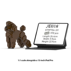 Real size of the Standard Poodle 01-S11 next to a 13-inch tablet