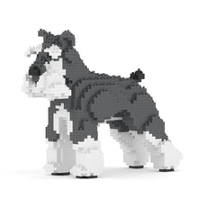 Standard Schnauzer 01-M01