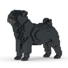 Pug 01-M02