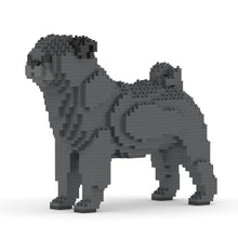 Pug 01-M04