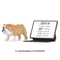 Real size of the English Bulldog 01-M03 next to a 13-inch tablet