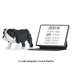 Real size of the English Bulldog 01-M04 next to a 13-inch tablet