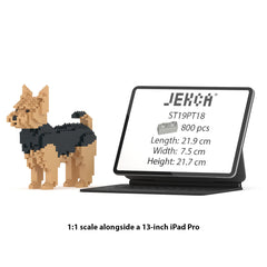 Real size of the Yorkshire Terrier 01 next to a 13-inch tablet