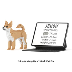 Real size of the Chihuahua 01-M01 next to a 13-inch tablet