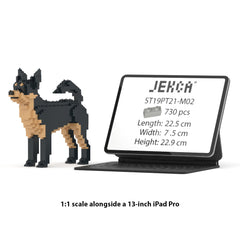 Real size of the Chihuahua 01-M02 next to a 13-inch tablet