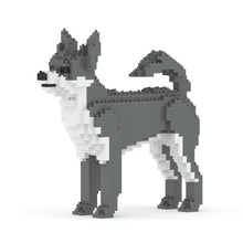 Chihuahua 01-M04
