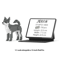 Real size of the Chihuahua 01-M04 next to a 13-inch tablet