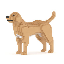Labrador Retriever 01-M04