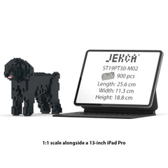 Real size of the Toy Poodle 01-M02 next to a 13-inch tablet