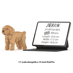 Real size of the Toy Poodle 01-M03 next to a 13-inch tablet
