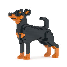 Miniature Pinscher 01-M01