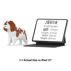 Real size of the Cavalier King Charles Spaniel 01-M01 next to a 13-inch tablet