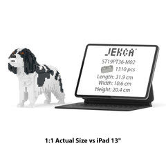 Real size of the Cavalier King Charles Spaniel 01-M02 next to a 13-inch tablet