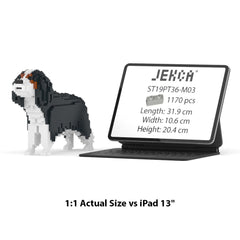 Real size of the Cavalier King Charles Spaniel 01-M03 next to a 13-inch tablet