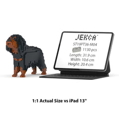 Real size of the Cavalier King Charles Spaniel 01-M04 next to a 13-inch tablet