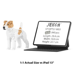 Real size of the Jack Russell Terrier 01-M03 next to a 13-inch tablet