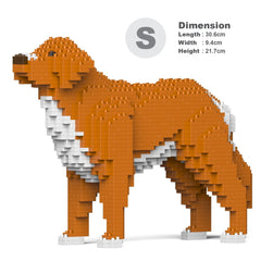 Real size of the Nova Scotia Duck Tolling Retriever 01-M01 next to a 13-inch tablet
