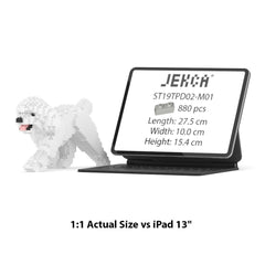 Real size of the Toy Poodle 02-M01 next to a 13-inch tablet