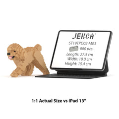 Real size of the Toy Poodle 02-M03 next to a 13-inch tablet