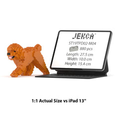 Real size of the Toy Poodle 02-M04 next to a 13-inch tablet
