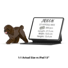 Real size of the Toy Poodle 02-M05 next to a 13-inch tablet