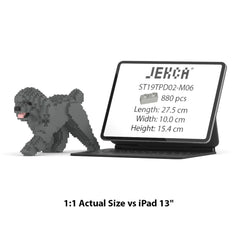Real size of the Toy Poodle 02-M06 next to a 13-inch tablet