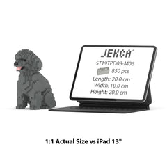 Real size of the Toy Poodle 03-M06 next to a 13-inch tablet