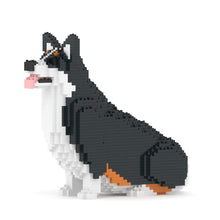 Welsh Corgi 03-M03